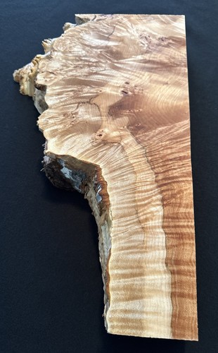 Maple burl live edge 16 - burl,,