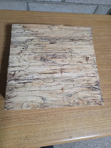 Kiln dried thick spalted maple - dried,