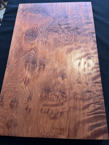 Old growth redwood - growth, 23